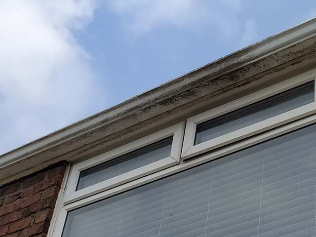 Soffit & Fascia Cleaning - Before